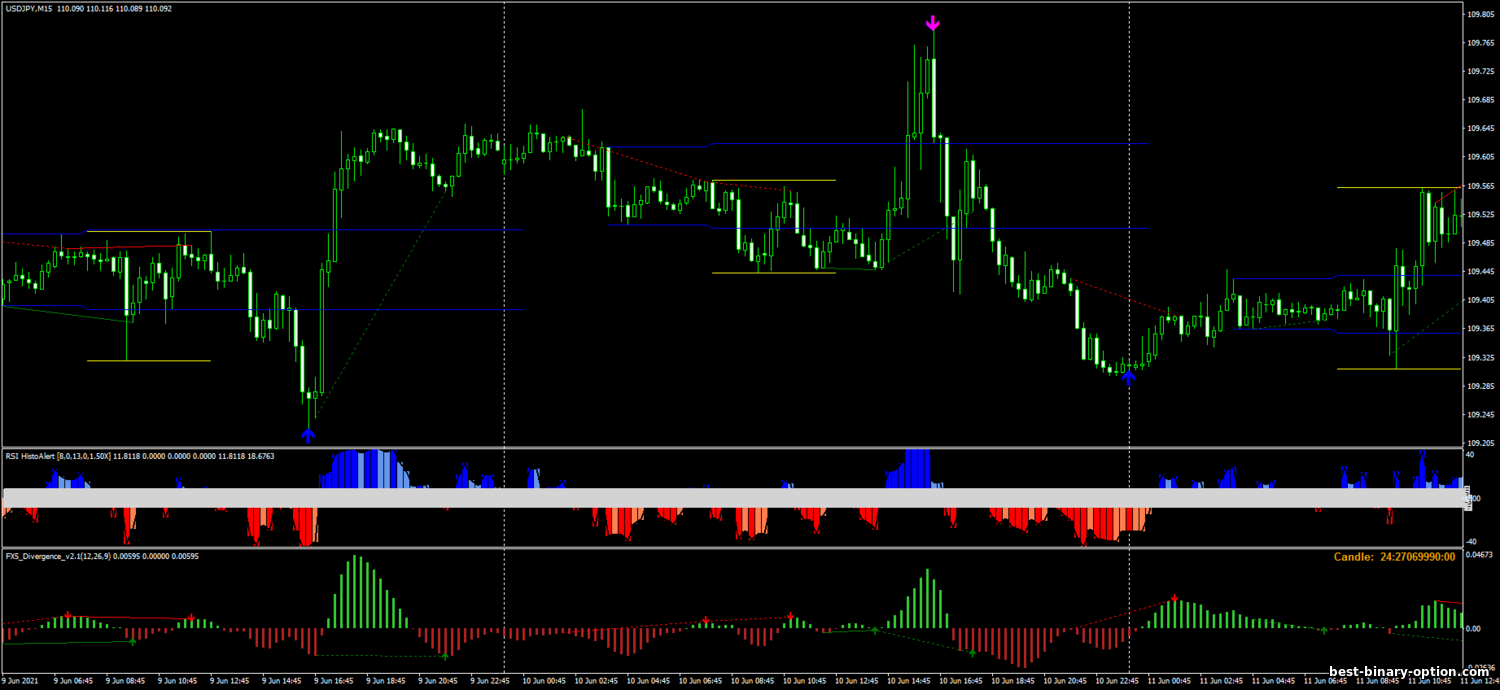 https://best-binary-option.com/_nw/0/63709313.png