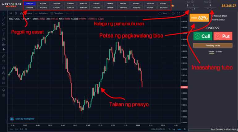 Paano gumagana ang mga pagpipilian sa binary