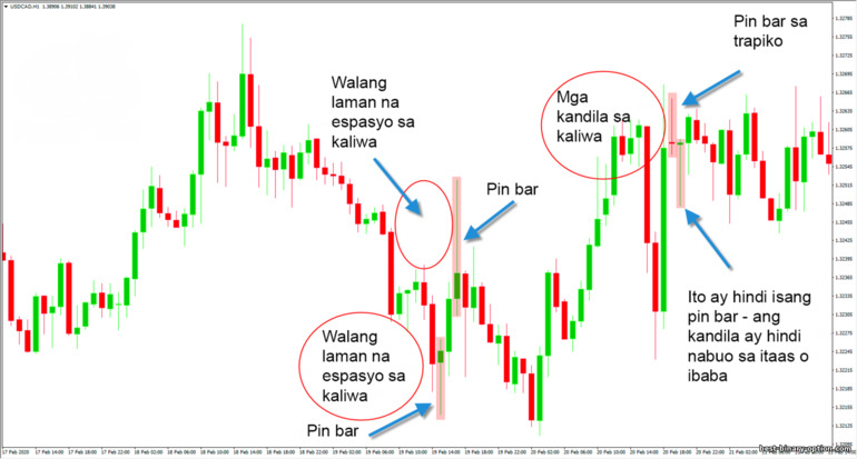 pin bar sa chart