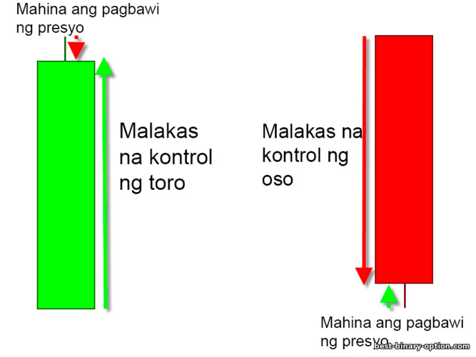 malakas na kontrol ng mga oso at toro