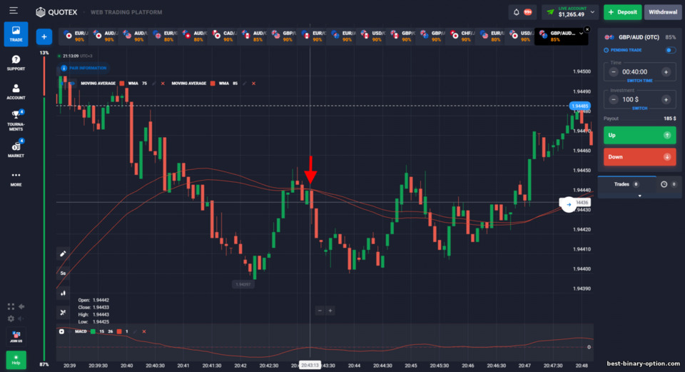 Diskarte sa Binary Options ng Puria Method