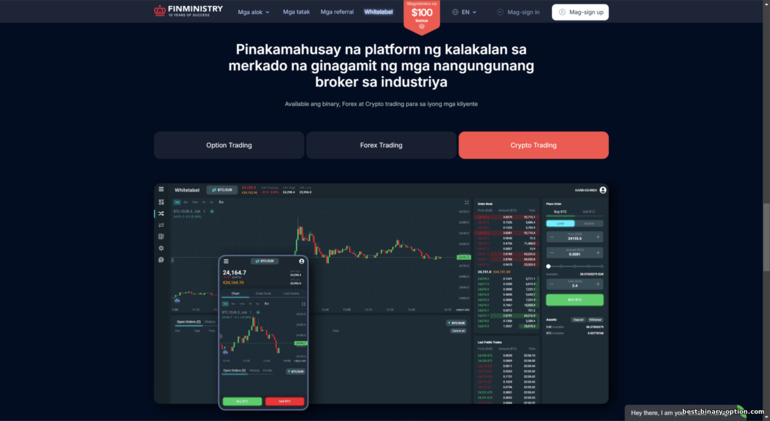 Mga Plataporma ng mga Partner ng FinMinistry