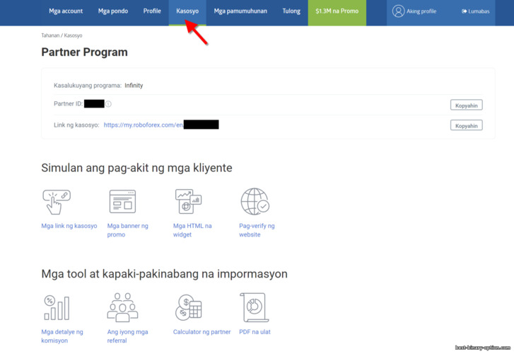 Programa ng Pakikipagsosyo ng RoboForex