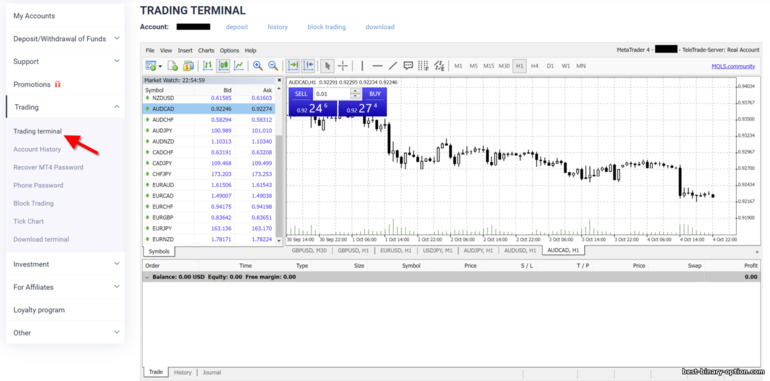 MT4 Trading Terminal ng TeleTrade