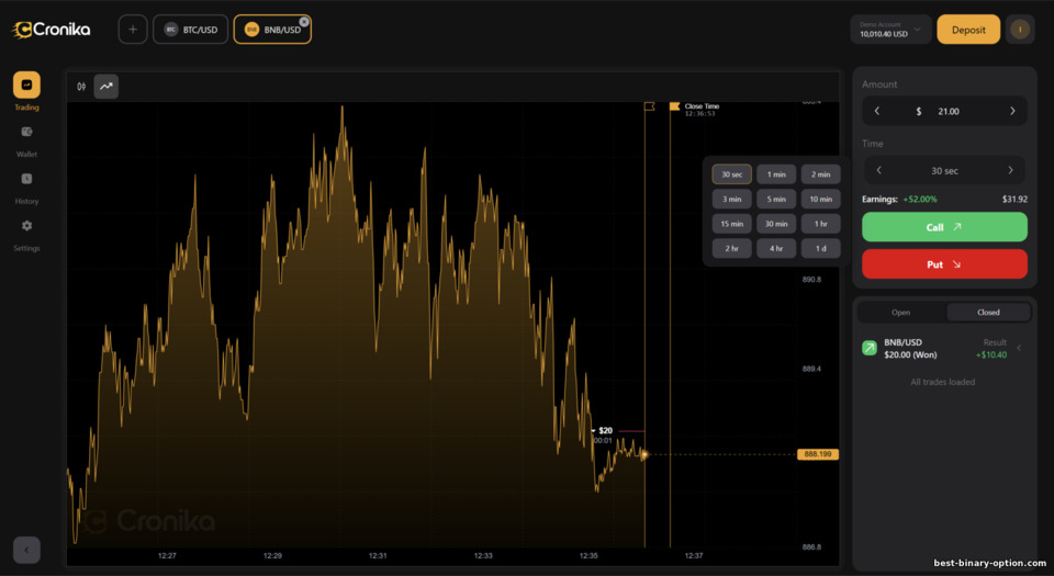 Oras ng Pag-expire ng Opsyon sa Cronika
