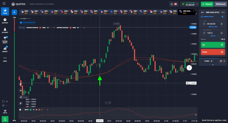Diskarte sa Binary Options ng Puria Method